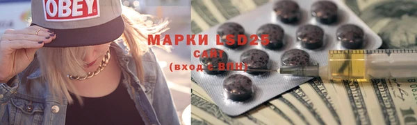 ГАЛЛЮЦИНОГЕННЫЕ ГРИБЫ Алексин