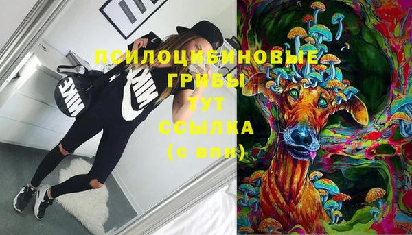 ГАЛЛЮЦИНОГЕННЫЕ ГРИБЫ Алексин