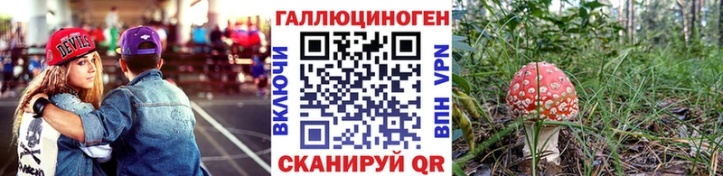 наркошоп Бежецк Галлюциногенные грибы Cubensis